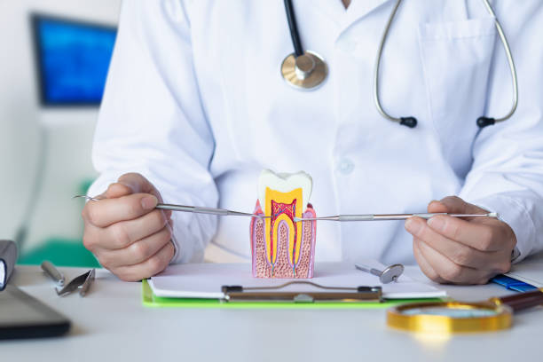 Best Emergency Root Canal Treatment in Loyola, CA